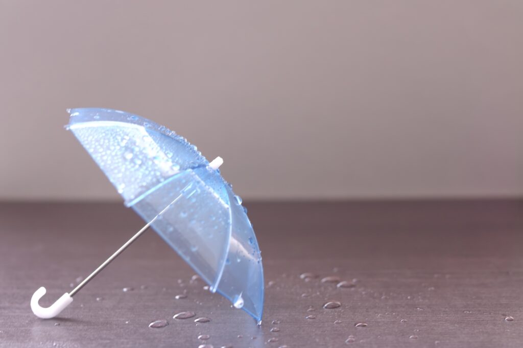 雨
